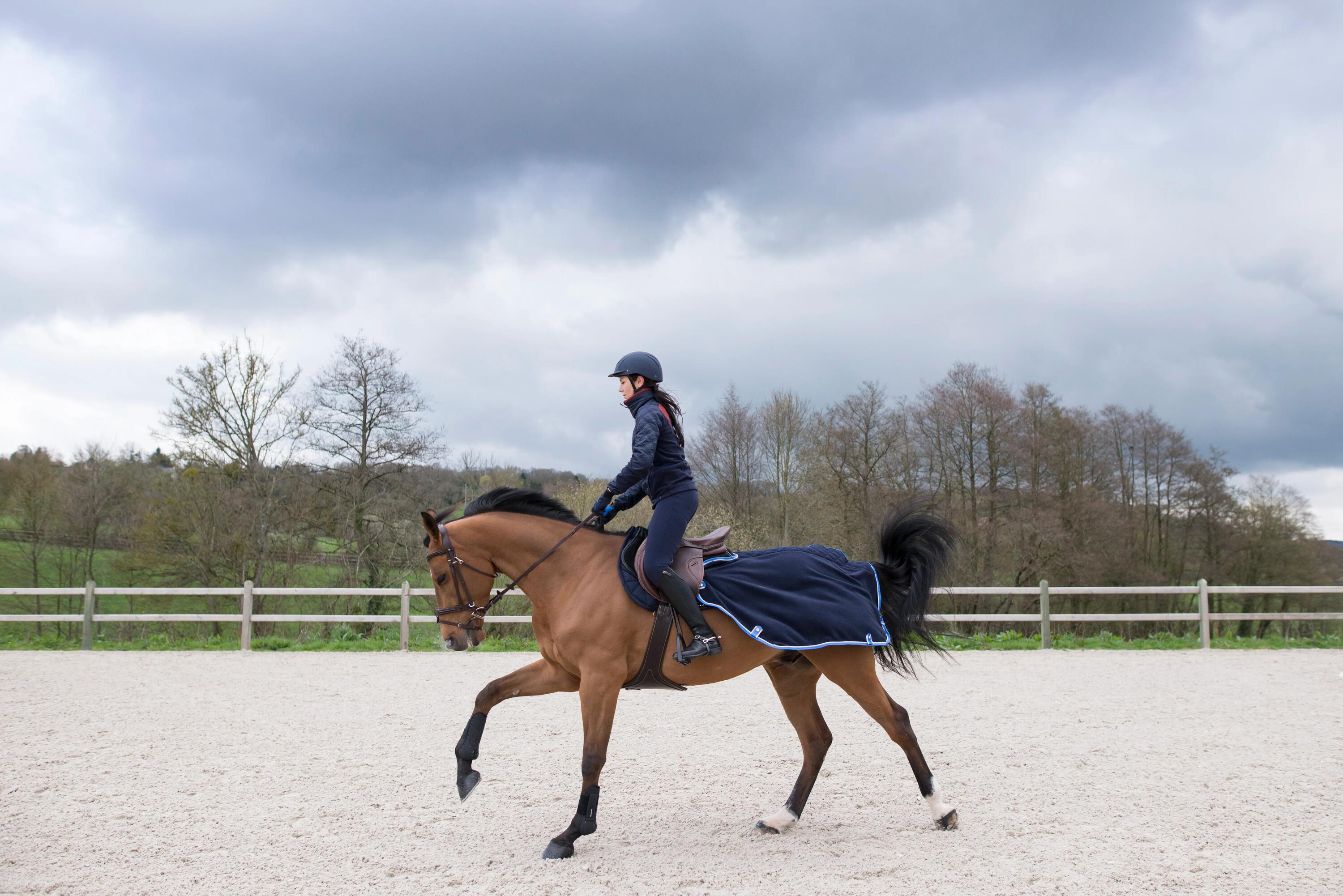 Polar Horse Riding Exercise Rug for Horse and Pony - Navy Blue 7/8