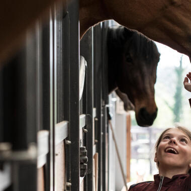 Alt/prendre-soin-cheval-hiver-titre