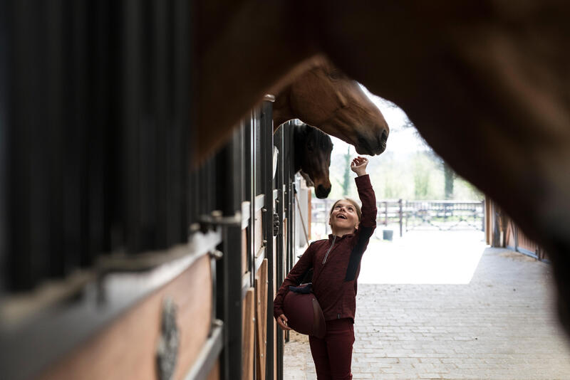 Voedingssupplementen voor je paard