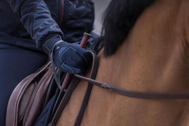 Alt/monter-par-temps-froid-gants Alt/monter-par-temps-froid-gants