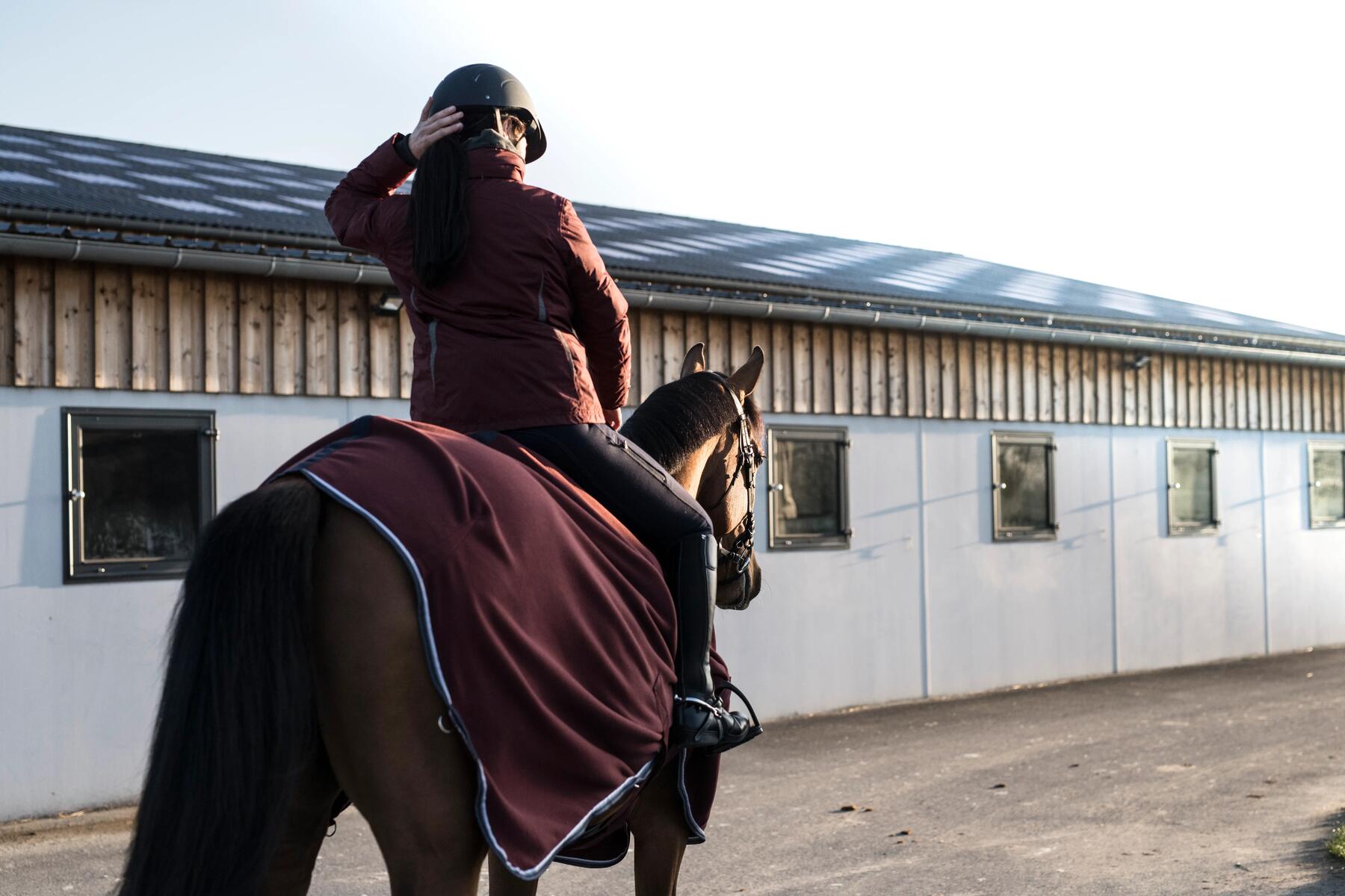 Alt/petits-gestes-confort-cheval-froid-fin