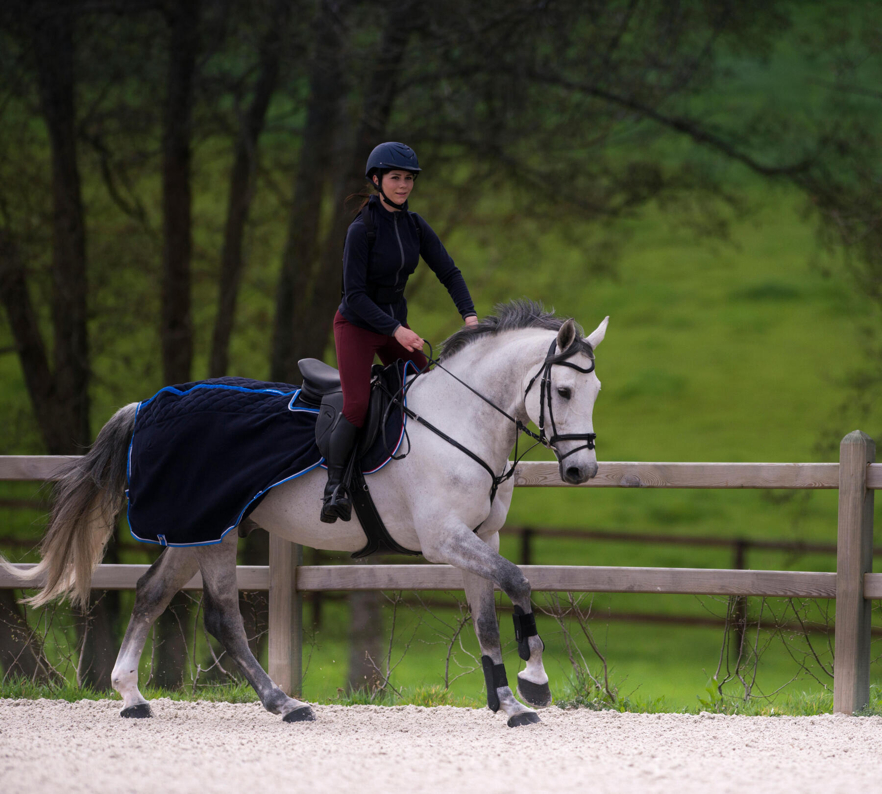 Une cavalière et son cheval sont en train de galoper en carrière