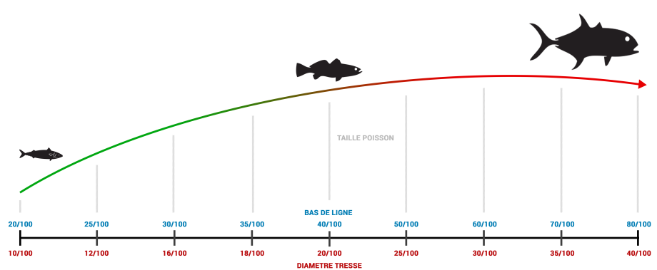 Correspondance taille tressebasdeligne Correspondance taille tressebasdeligne