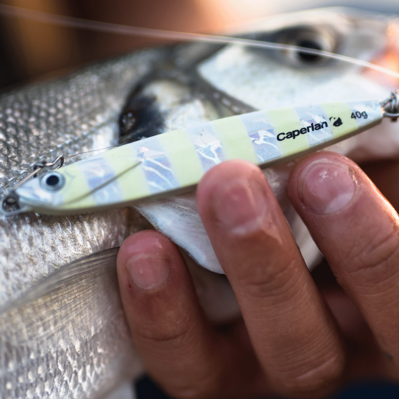 Quel montage réaliser pour pêcher au casting jig ?