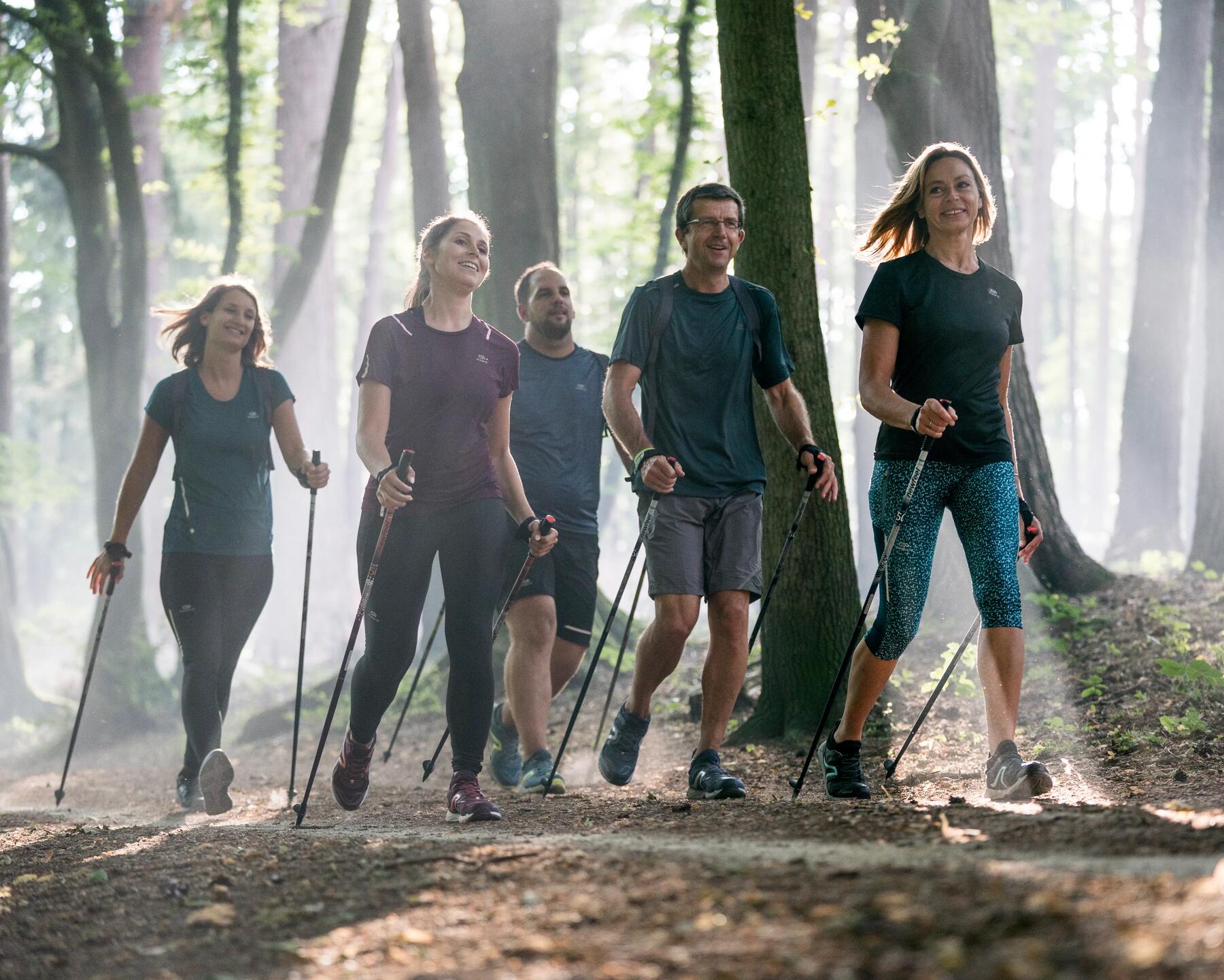 Un groupe de randonneurs dans la fôret (belgique)