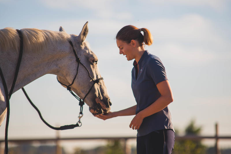 Leer je paard aan om je te volgen