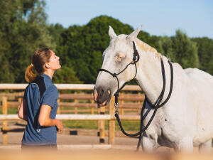 Agathe et son cheval Kabour, en train de faire une séance en liberté en carrière