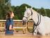 Agathe et son cheval Kabour en train de faire une séance de travail à pied