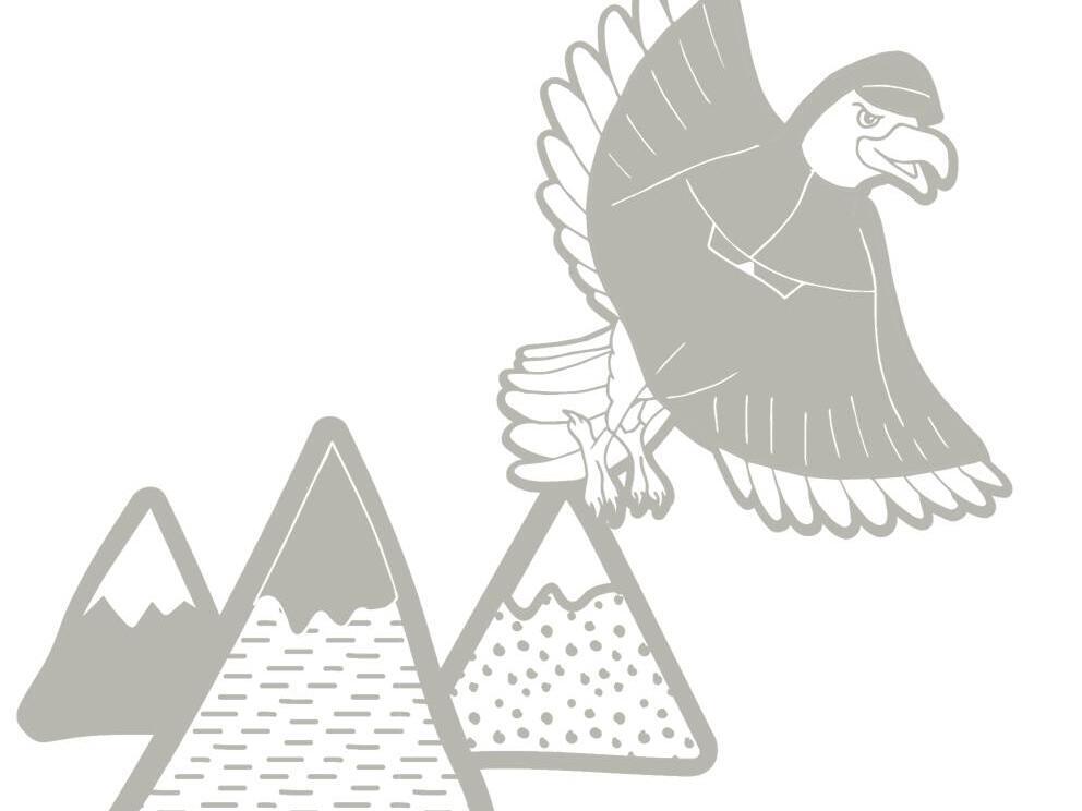 free-printable-colouring-children-animals-mountain-vulture