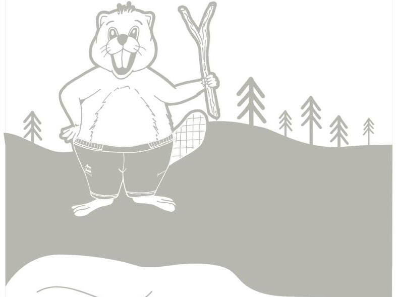 free-printable-colouring-children-animals-mountain-beaver
