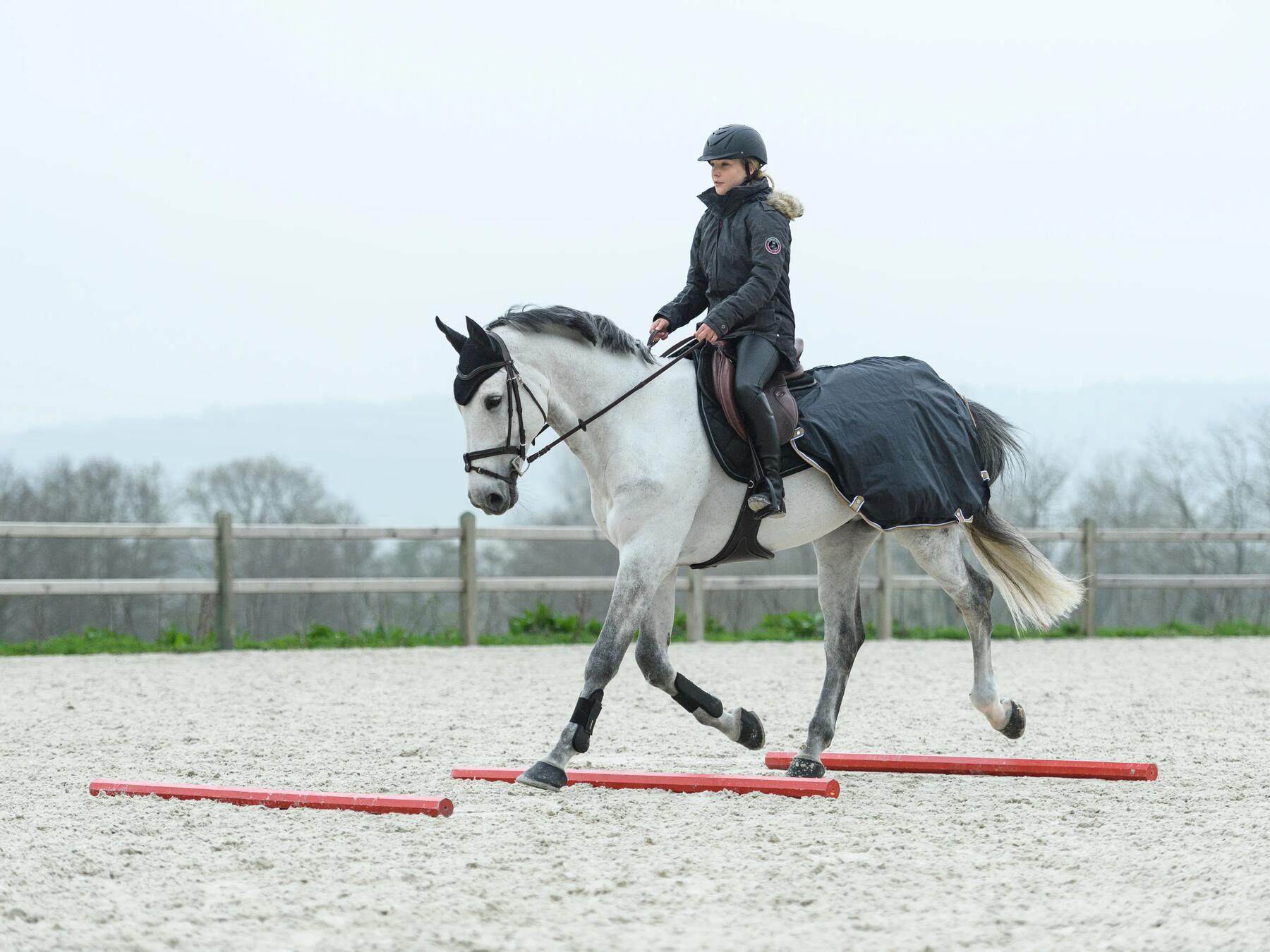 cheval qui passe sur des barres au sol