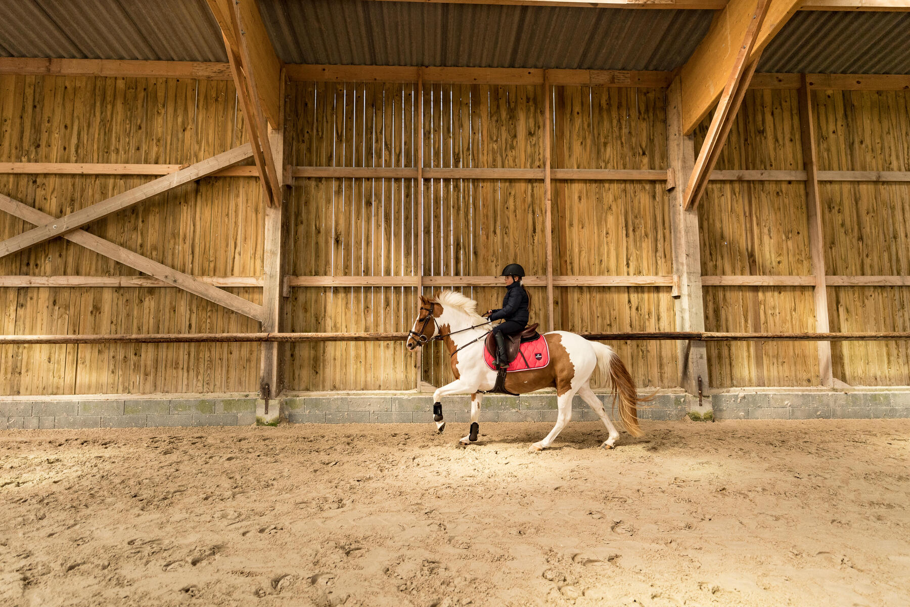 Une cavalière monte son cheval en manège avec de la musique via des écouteurs