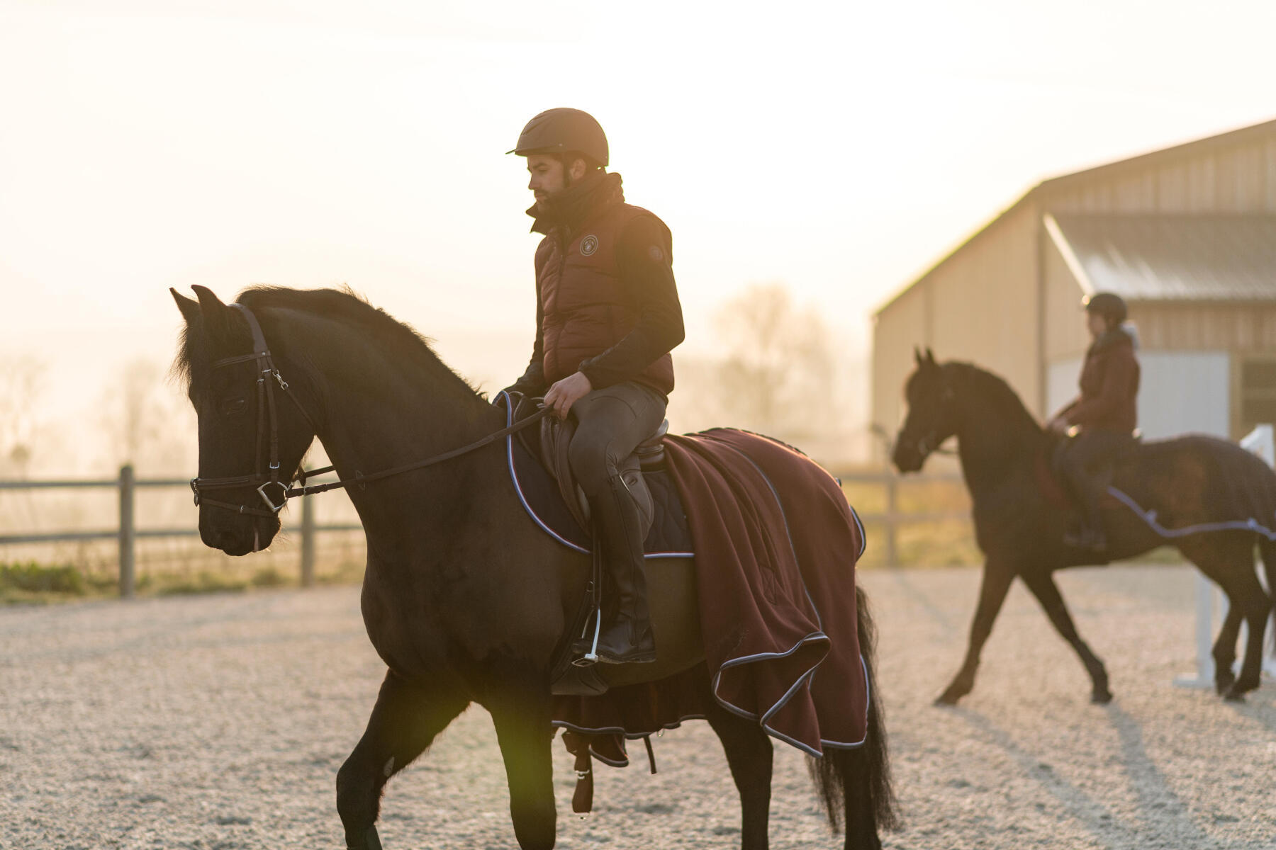 Alt/petits-gestes-confort-cheval-froid-à-cheval