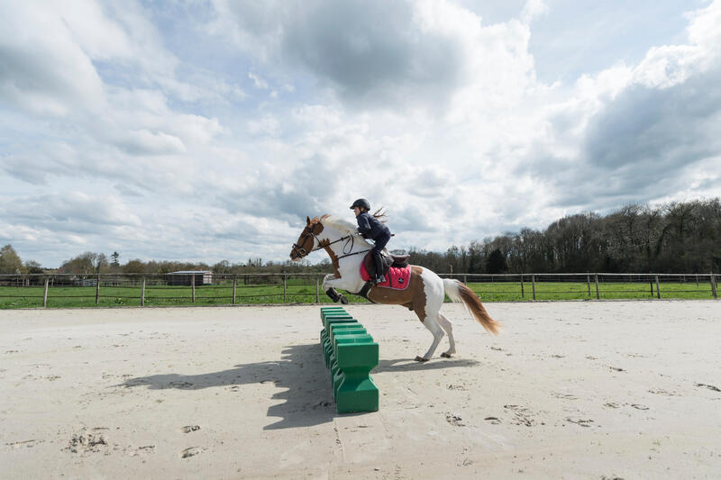 Est ce que l'équitation est un sport ? 