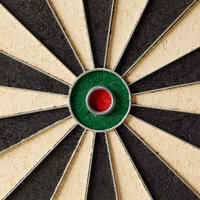 Steel Tip Dartboard Club 700