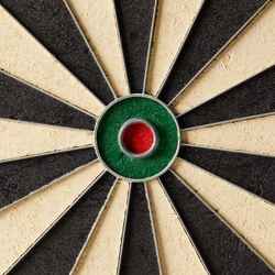 Steel Tip Dartboard Club 700