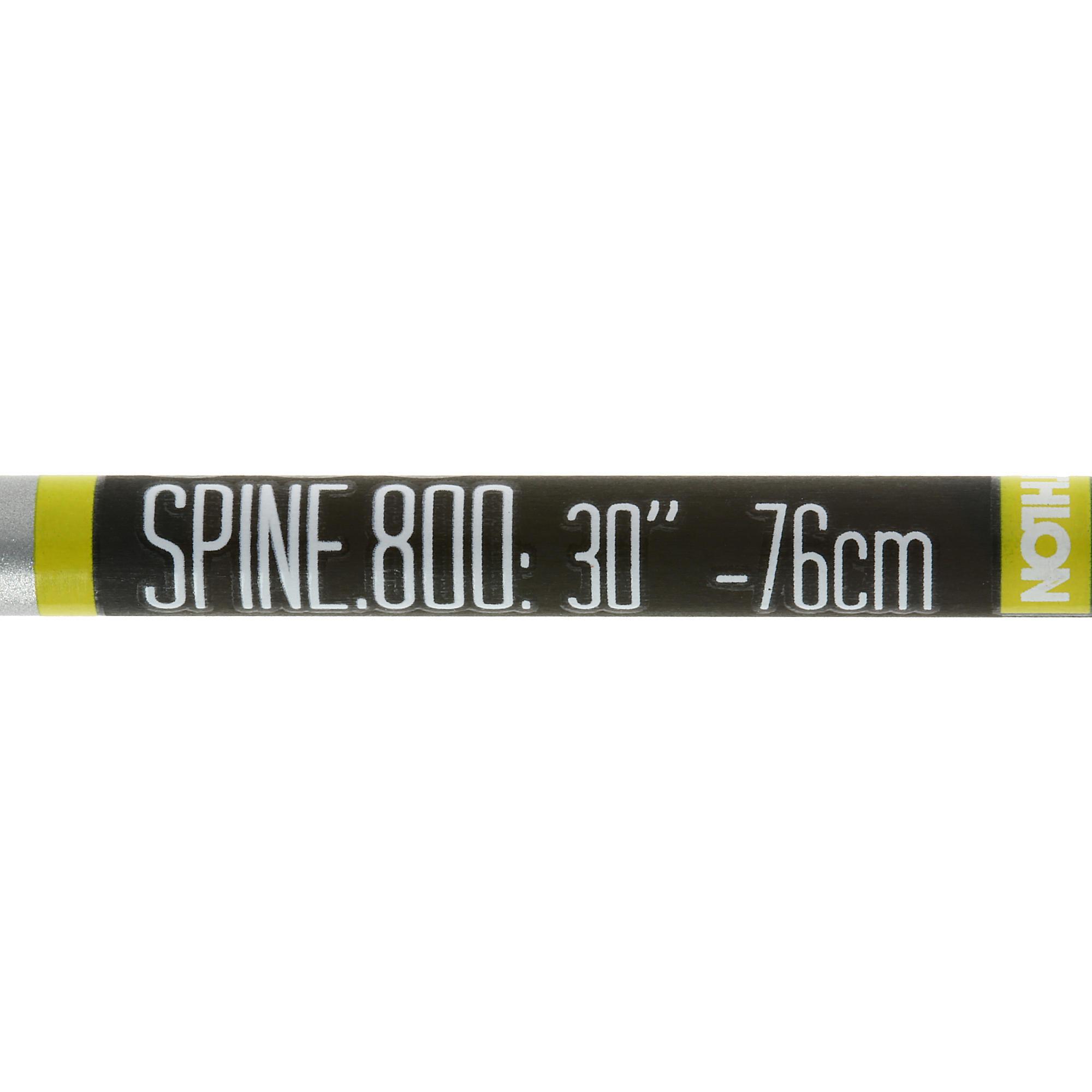 36 Flèches En Carbone Pour Tir à L'arc - Vanes Plastique, Pour Arc Recourbé Ou Compound