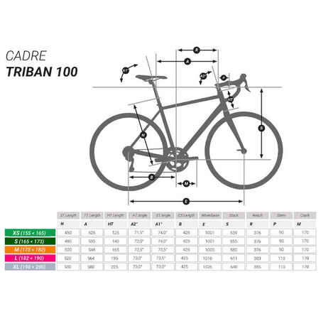 Triban 100 Road Bike