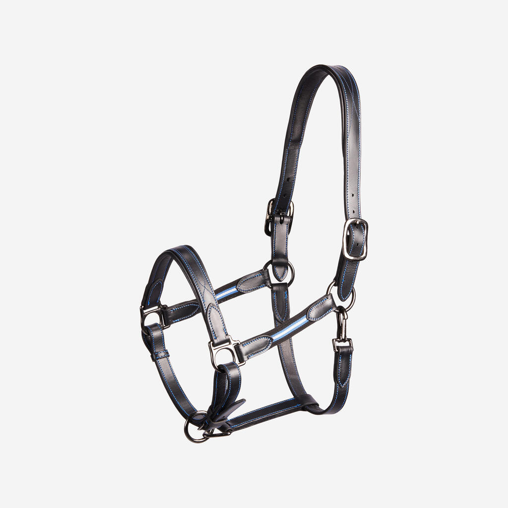 Horse and Pony Riding Leather Halter Performer - Black / Blue