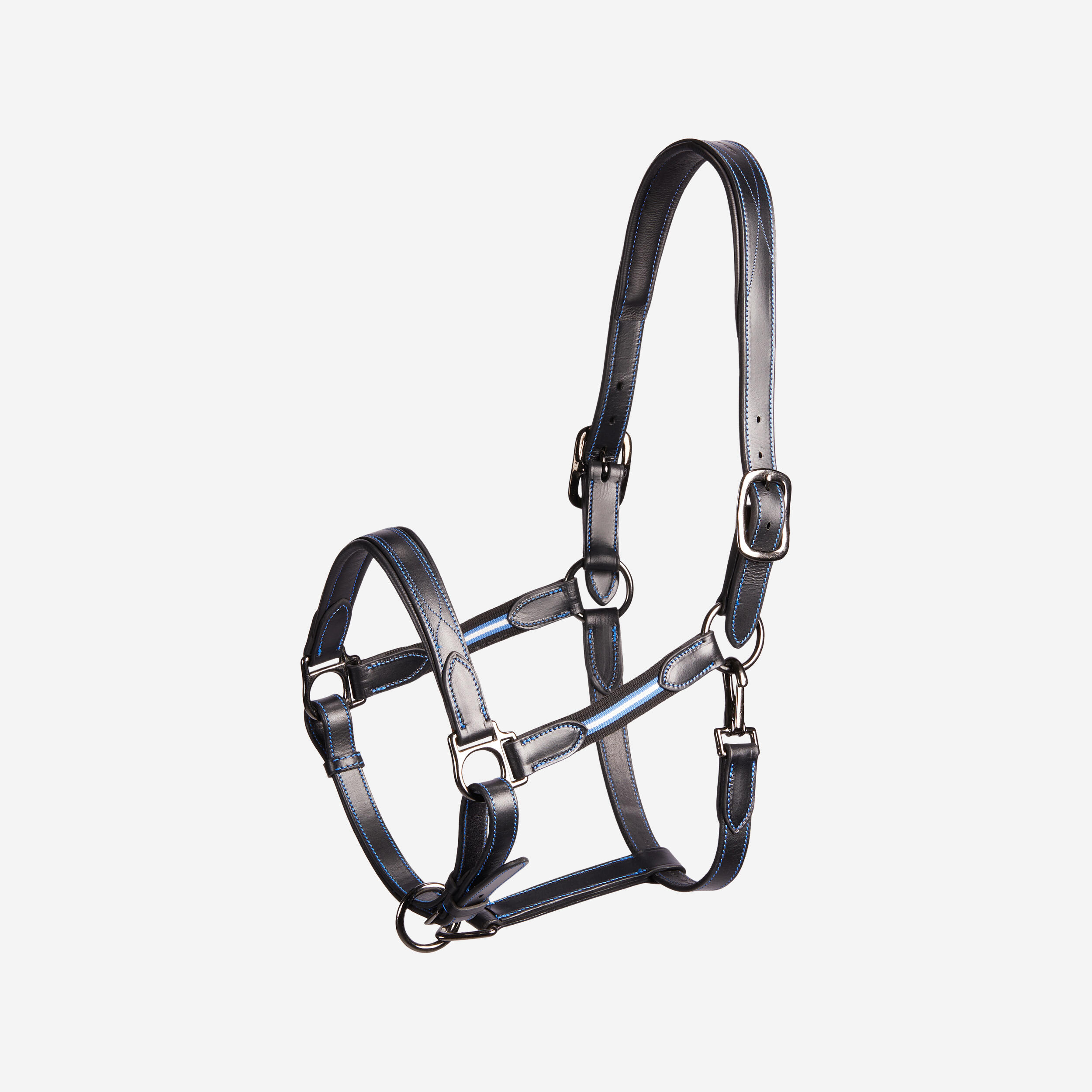 Horse and Pony Riding Leather Halter Performer - Black / Blue 1/4