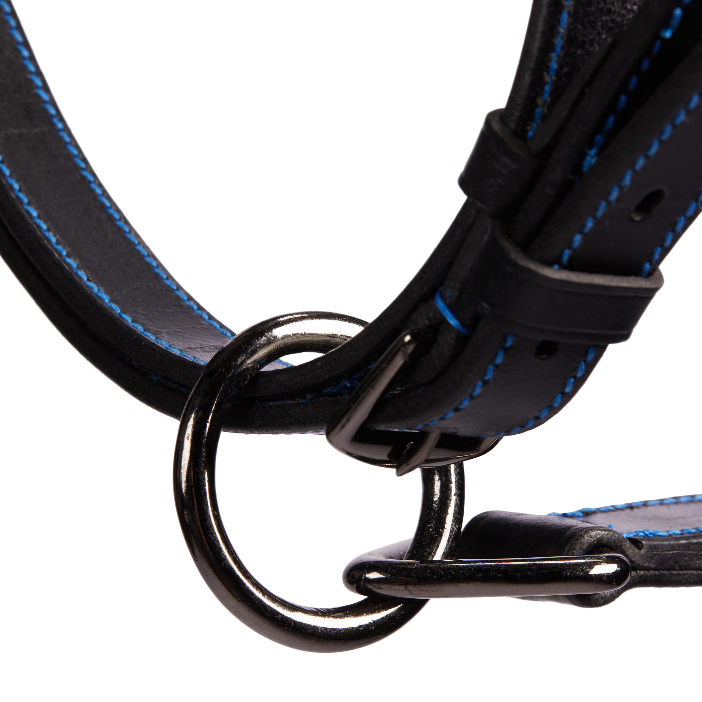 Horse and Pony Riding Leather Halter Performer - Black / Blue 4/4