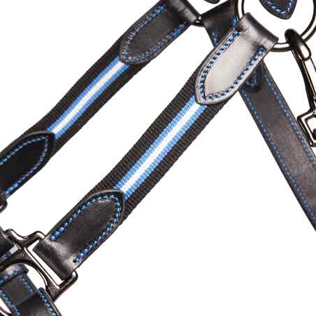 Horse and Pony Riding Leather Halter Performer - Black / Blue