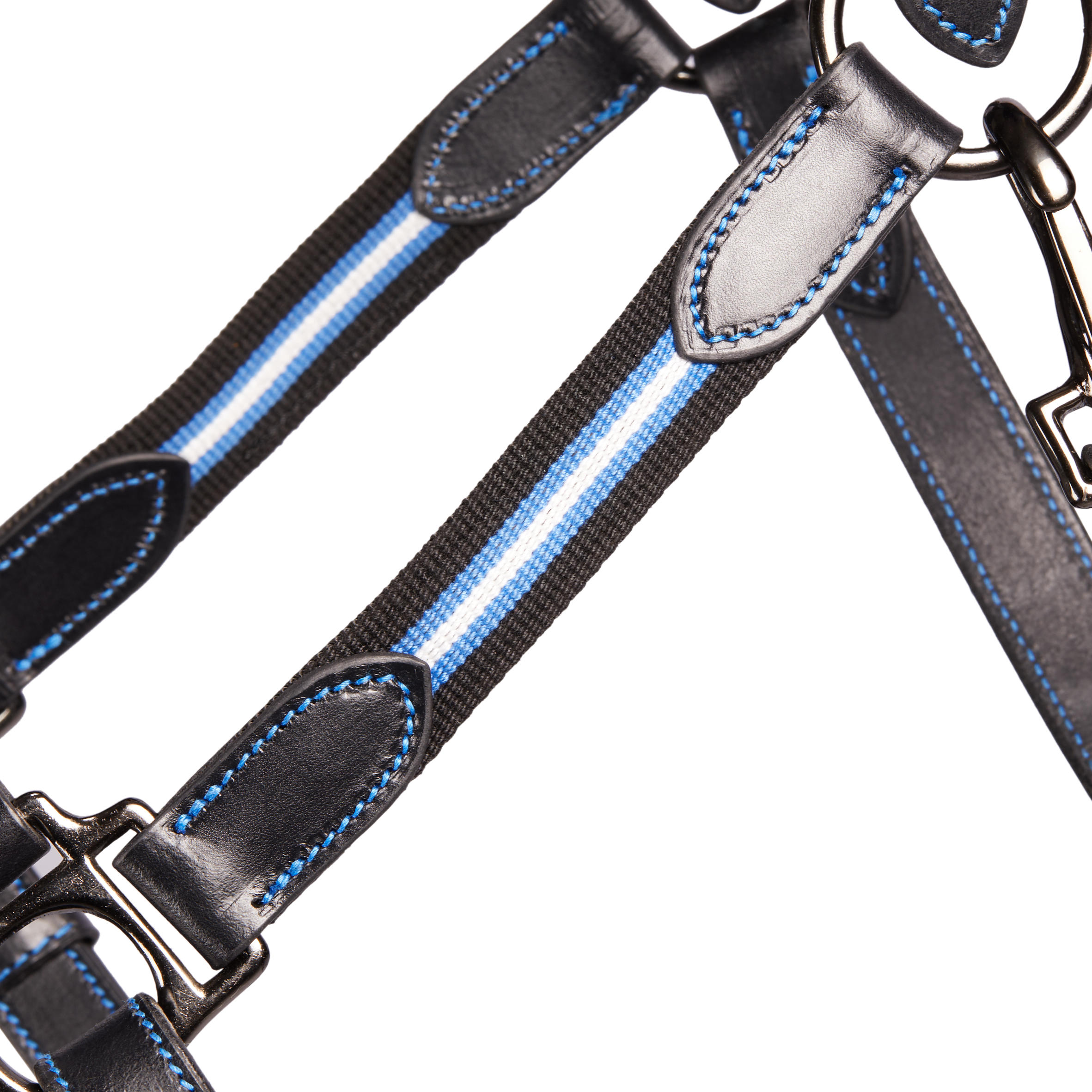 Horse and Pony Riding Leather Halter Performer - Black / Blue 3/4