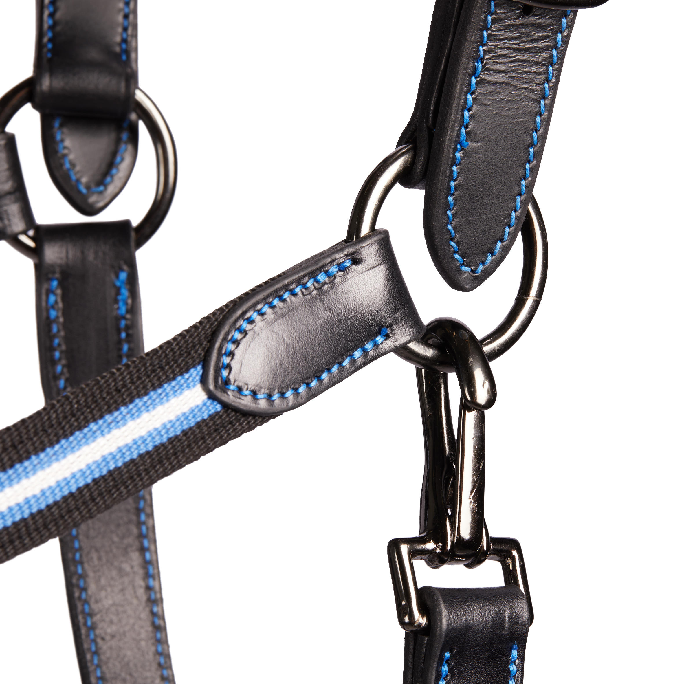 Horse and Pony Riding Leather Halter Performer - Black / Blue 2/4