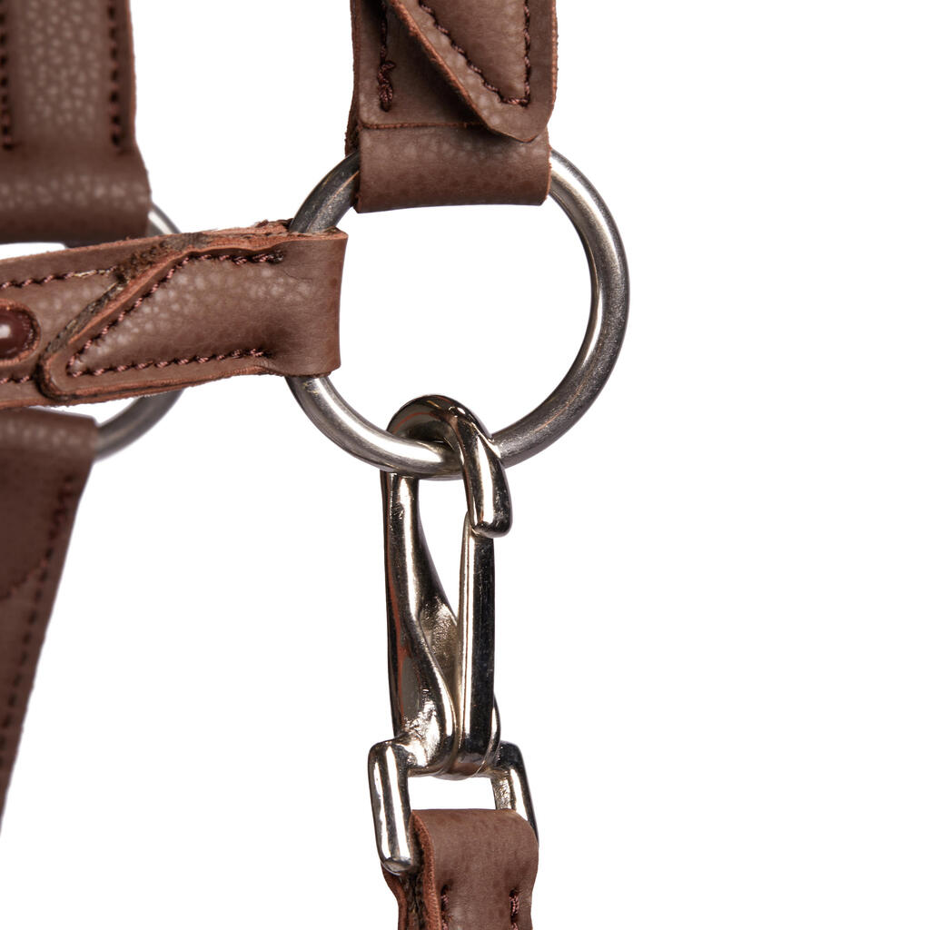 Horse Riding Synthetic Leather Halter for Horse & Pony 500 - Brown