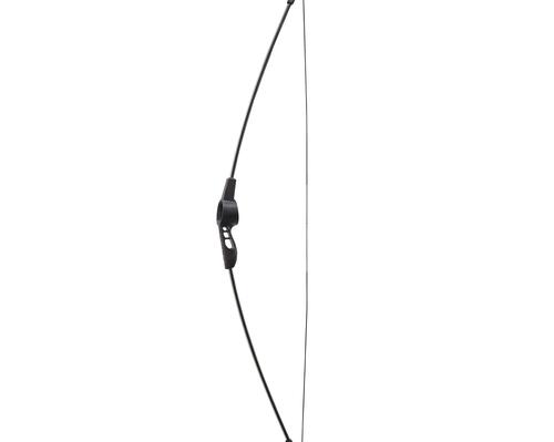 ARC TIR A L'ARC DISCOVERY 100