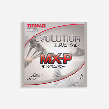 GUMA ZA STOLNI TENIS EVOLUTION MX-P