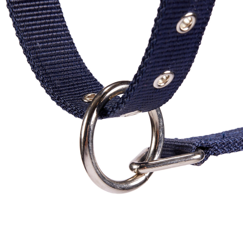 Winner Horse Riding Halter for Ponies - Navy