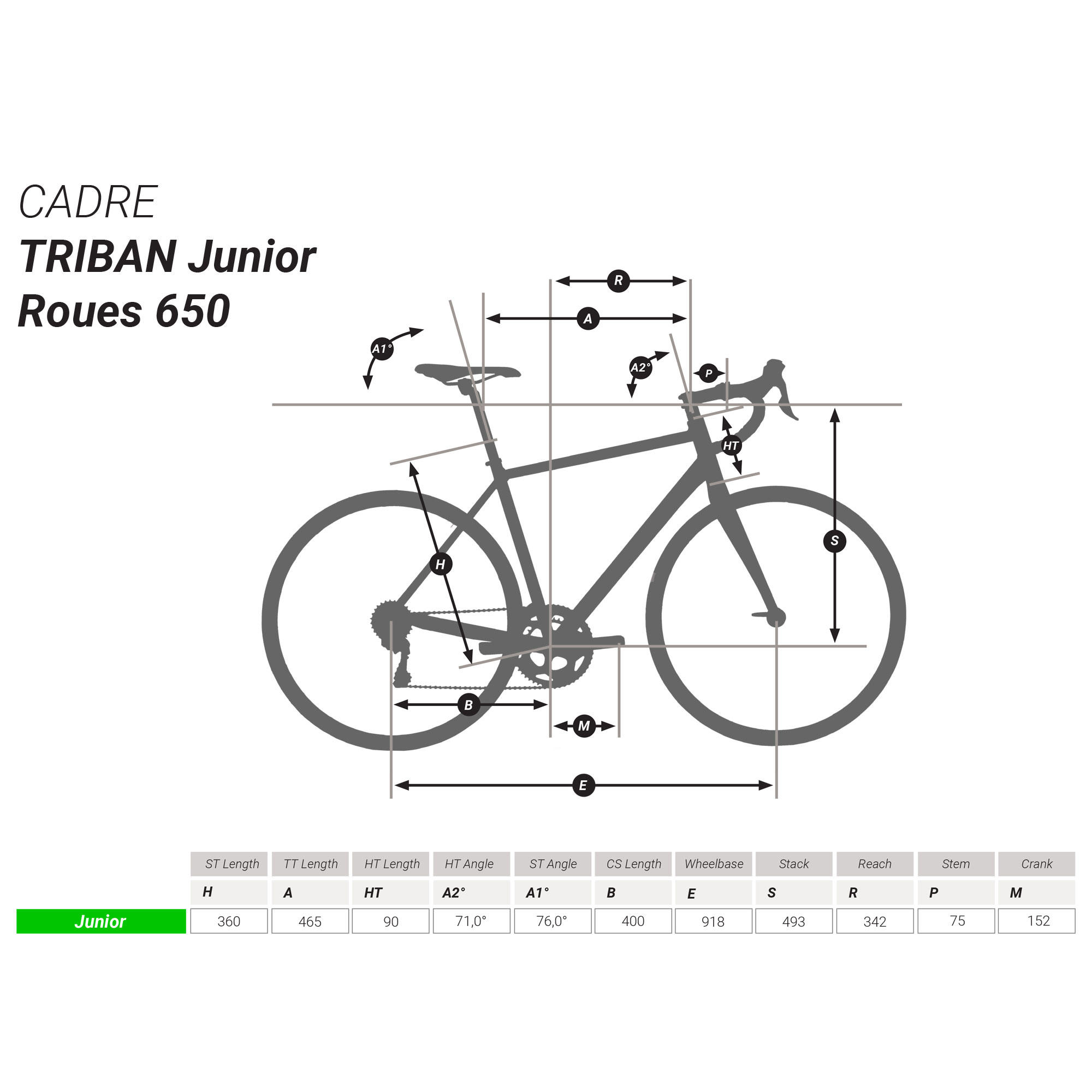 triban 100 26