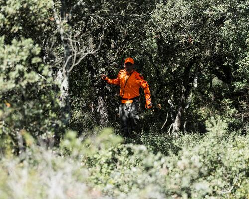 STALKING DURING THE WILD BOAR START OF THE HUNTING SEASON!