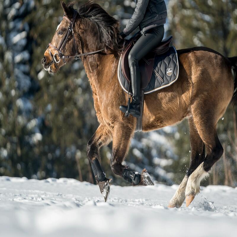 Ridning i snö