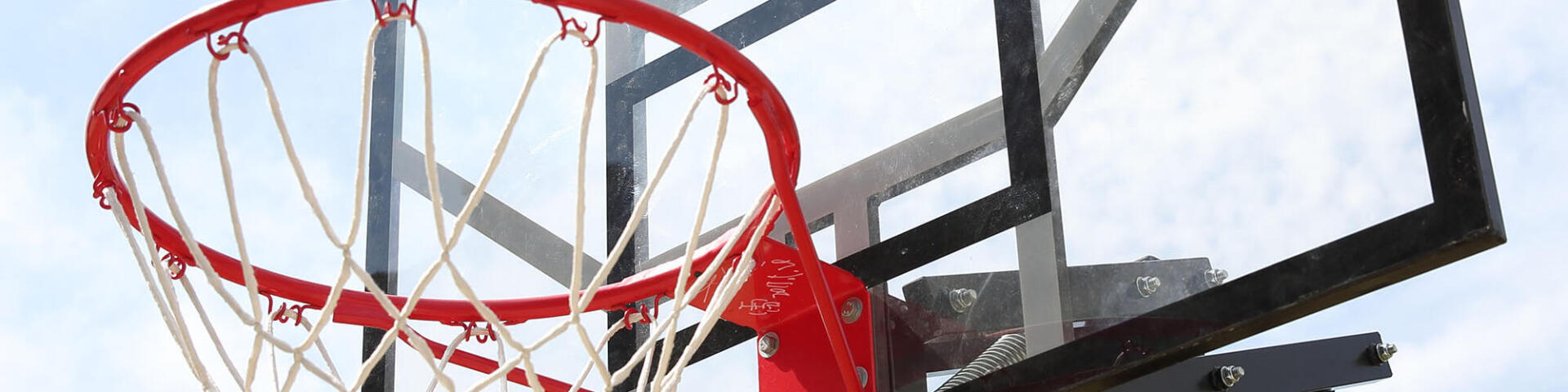 BASKETBALL HOOP - TARMAK - B700 PRO