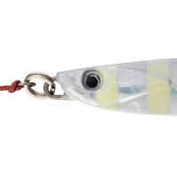 Lure fishing at sea CASTING JIG BIASTOS ASSIST 20 g - Phospho. white