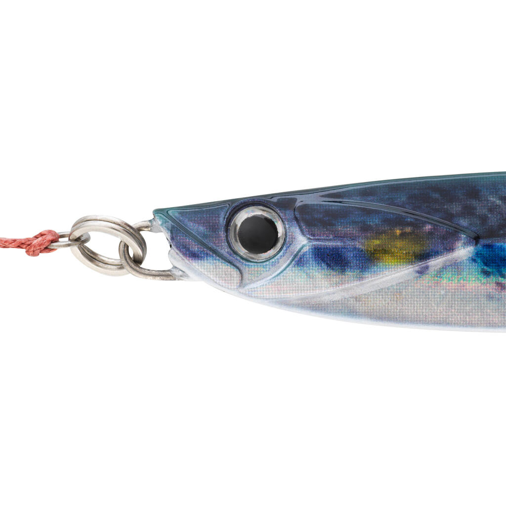 Casting jig biastos assist 40gr mullet pêche au leurre en mer