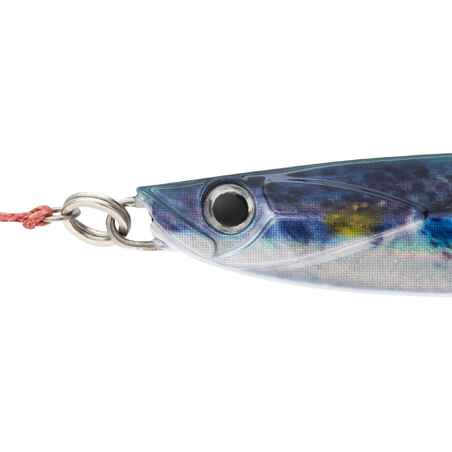 Lure fishing at sea CASTING JIG BIASTOS ASSIST 40 g - mullet