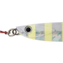 Lure fishing at sea CASTING JIG BIASTOS ASSIST 60 g - Phospho. white