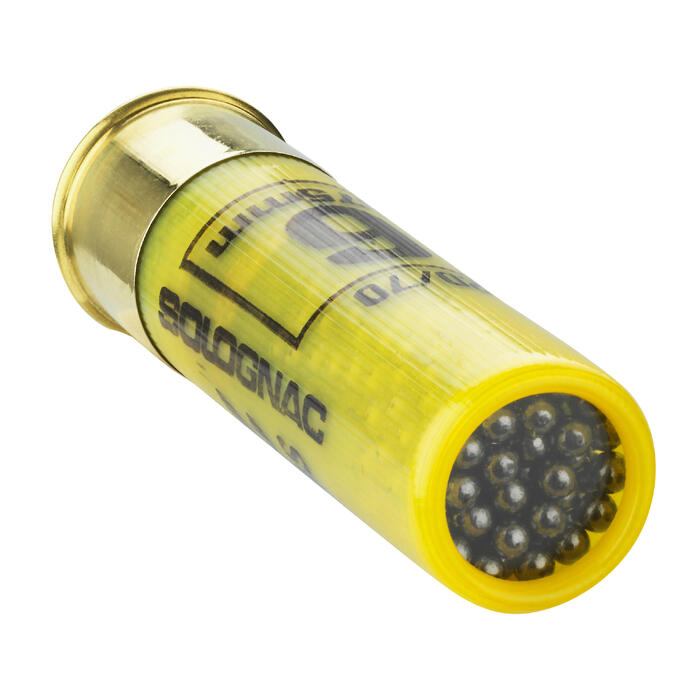 CARTOUCHE S900 ARX CALIBRE 20/70 28G PLOMB N°6 X10 ...