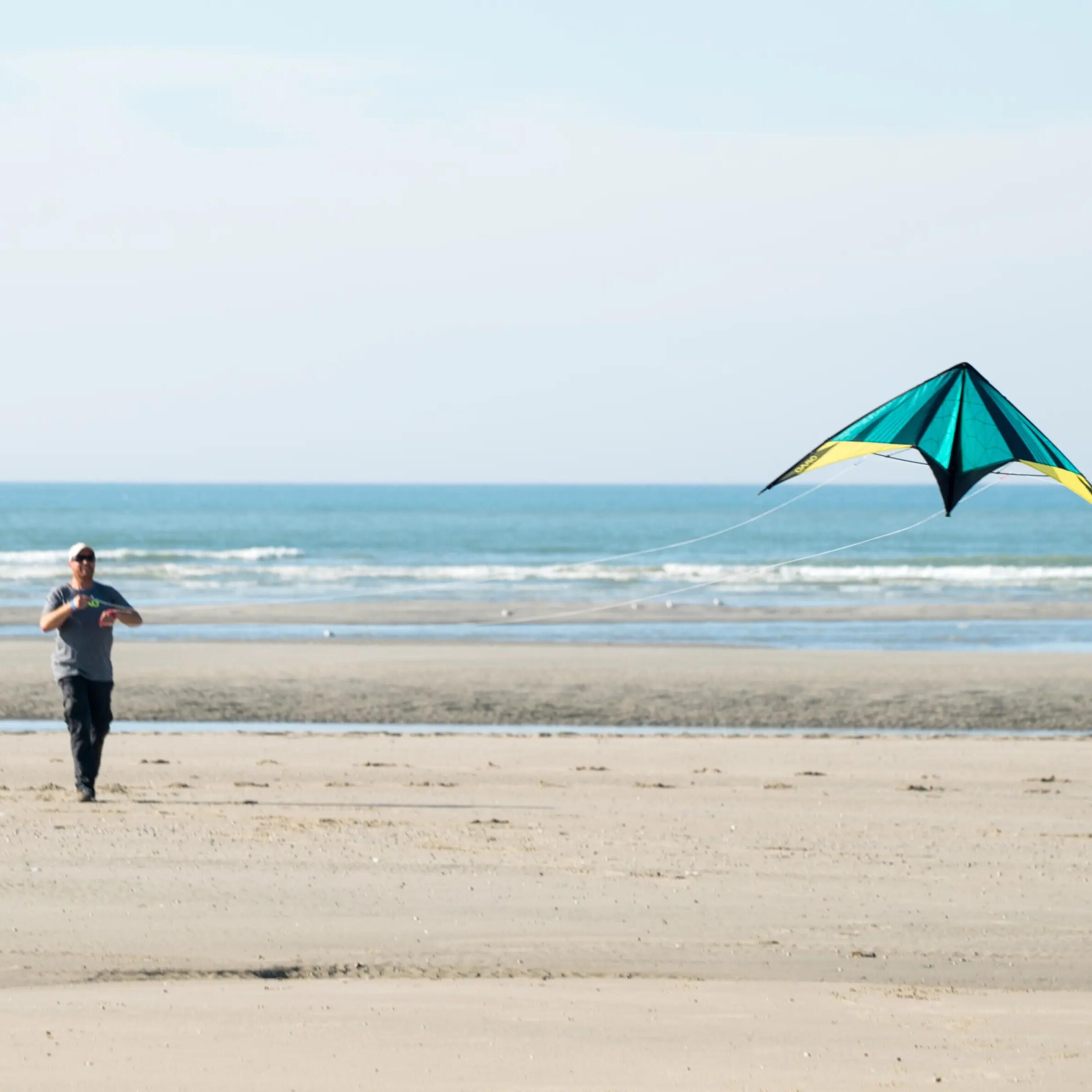 Adult playing with kite