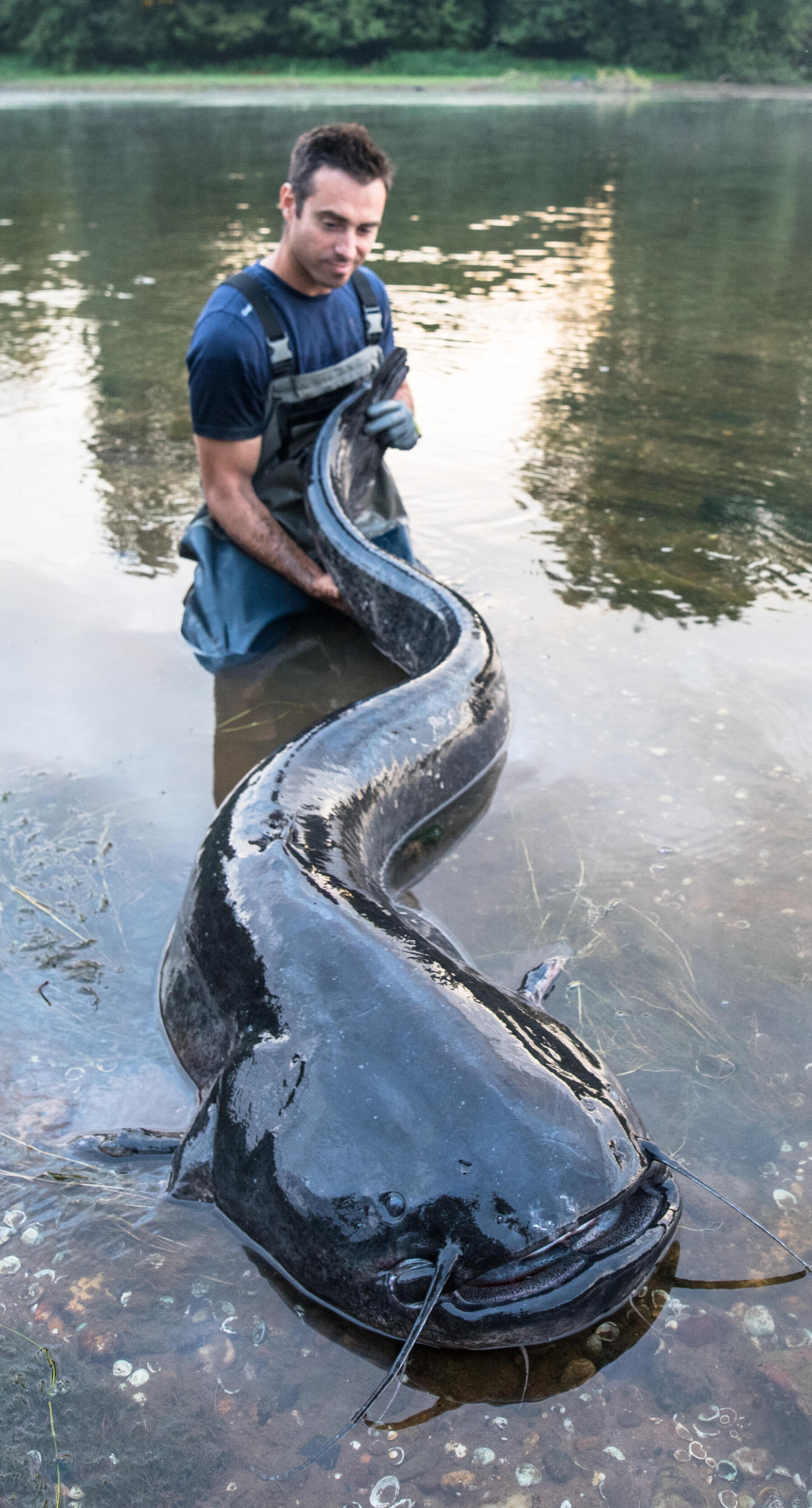 QUEL ÉQUIPEMENT POUR DÉBUTER LA PÊCHE DU SILURE A LA BOUÉE ?