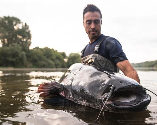 QUEL ÉQUIPEMENT POUR DÉBUTER LA PÊCHE DU SILURE A LA BOUÉE ?