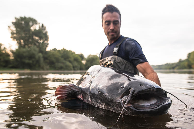 QUALE ATTREZZATURA PER INIZIARE LA PESCA DEL SILURO CON LA BOA?