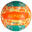 BVBS100 Beach Volleyball - Green/Orange