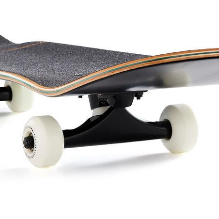 SKATEBOARD COMPLETE 100 GRADIANT PARROT