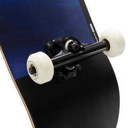 SKATEBOARD COMPLETE 100 GRADIANT PARROT