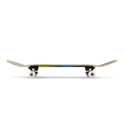 SKATEBOARD COMPLETE 100 GRADIANT PARROT