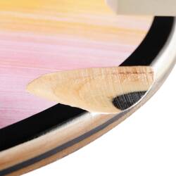 Longboard Pintail 520 - Gradient